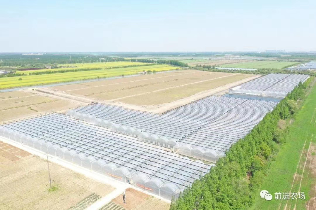 光明食品集团崇明农场科创中心蔬果基地建设（二期）